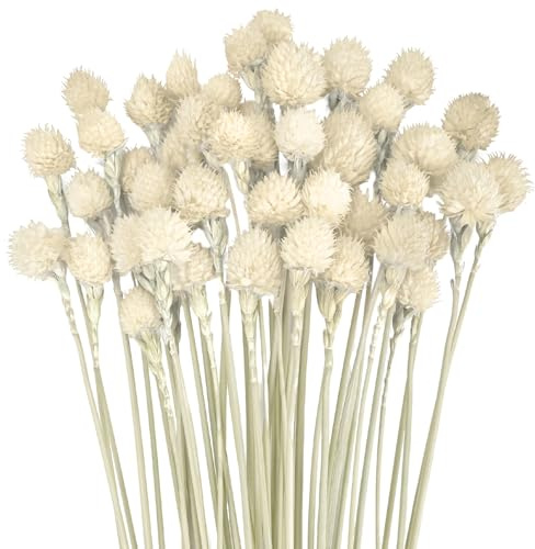 45 Fleurs Séchées, Bouquet de Fraises Séchées, Bouquet d'oreilles Naturelles, Arrangements DIY pour Décoration de Chambre et de Salon (Blanc Cassé)
