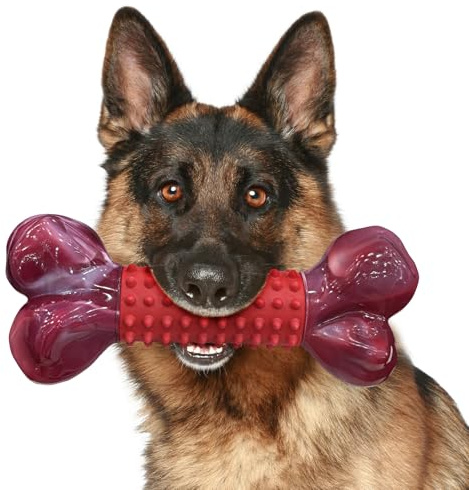 ChienBox Hundespielzeug Unzerstörbar für Mittelgroße Große Hunde: Kauspielzeug Hund für Aggressive Kauer, Robust Nylon & Naturkautschuk, Zahnpflege-Spielzeug mit weichen Gumminoppen, Knochenform, Bœuf