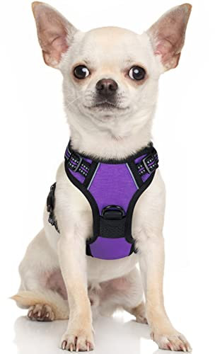 rabbitgoo Hundegeschirr Kleine Hunde, Anti Zug Geschirr mit Kontrolle, No Pull Verstellbar Hundegeschirr Grosse Hunde, Atmungsaktiv Reflexstreifen Brustgeschirr Sichere Führung Lila XS