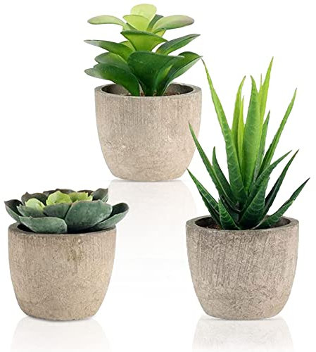 Seasboes 3 Stück Künstliche Pflanzen, Künstliche Sukkulenten Pflanzen, Blumen Gras Bonsai mit Topf, Künstliche Pflanzen Plastik für Schlafzimmer Badezimmer Küchen Zuhause Innen Deko