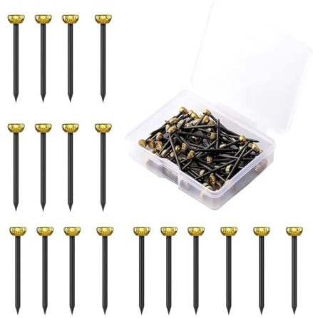 ZSRVAJ 100 Pcs Picture Pins, Nails for Hanging Pictures, Wall Pins, Picture Hanging Nails, with Plastic Storage Box
