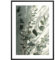 MJ-GRAPHICS® - Kunstdruck Eukalyptus Pflanze - Fotografie grüne Pflanze - Wandbild Din A4 in Galerie Qualität 300g Posterpapier - Natur Bild Raumdeko Wohnzimmer & Schlafzimmer - ohne Bilderrahmen