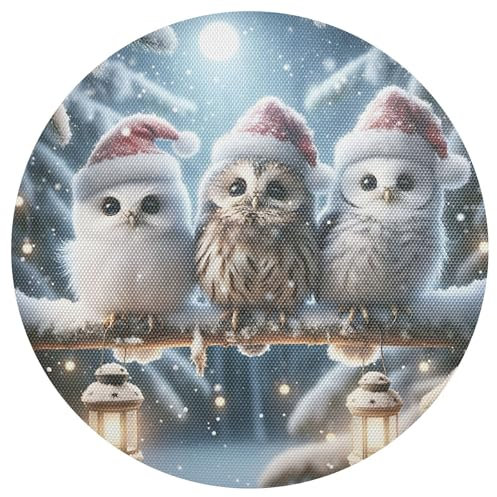 Weihnachten Eulen Winter Tischset rutschfest Hitzebeständig Platzsets Rund Tischmatten für Haus und Restaurant