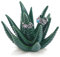 Titanape Aloe Ringhalter Kaktus Schmuckständer, Geschenke für Frauen Geburtstag, Einzigartige Schmuckhalter Geschenk für Mama, Freundin, Mädchen, Sie, Hochzeit Weihnachts