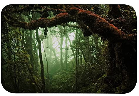 A.Monamour rutschfest Saugfähig Badematte Tropischer Regenwald Nebel Dschungel Straße Grün Bäume Natur Landschaft Flanell Badezimmerteppich Badteppich Badvorleger Badewanne Dusche Duschvorleger