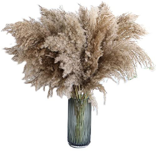 BYNYXI 20 Stück Pampasgras groß, Natürliches Pampasgras Getrocknet Blumenarrangement Pampasgras Grau Weiß Pampasgras Trockenblumen Flauschiges Pampasgras Deko für Wohnzimmer Hochzeitsdeko, 30cm-40cm