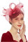 Fahrrad Gadgets Winter Tea Party Fascinator Kentuckys Derbys Hut Fascinator Pillbox Hut Stirnband für Cocktail Tennisband