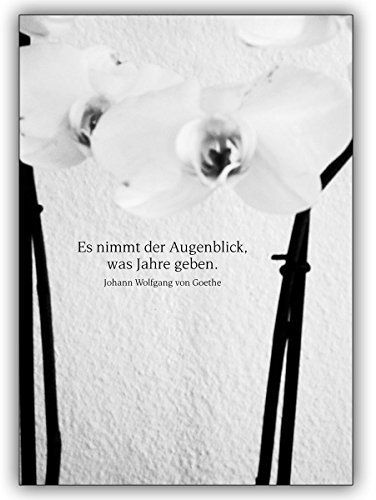 Kartenkaufrausch 1 Trauerkarte: Edle, tröstende Trauerkarte: Es nimmt der Augenblick, was Jahre geben. Goethe – tröstende Beistandskarte um im Trauerfall mit großer Anteilnahme zu kondolieren
