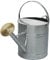 Easy Shopping® 9 Litres / 2 Gallon Garden Plant Flower Galvanised Metal Steel Watering Can with Brass Rose
