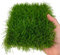 Tex family Pelouse synthétique Windsor © Herbe Faux Tapis Manto Jardin Réaliste 5 Nuances Qualité Extra - 50 mm. 1 x 10 m 10 m².