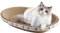 Rascador para Gatos de Forma Ovalada de Alta Densidad para rascadores y Camas, casa de cartón Ondulado, Juguete de Entrenamiento para Muebles de Interior para Gatos durmiendo