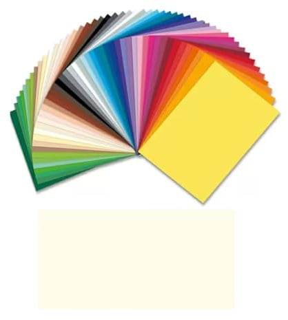 NEU Bastelkarton, 220g/ m², 50x70cm,10er Perlweiß
