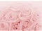 Runa Art Papier peint intissé Mural fleurs roses Moderne Toison Salon Chambre à Coucherr Salle - Tableaux Muraux Tapisserie Photo - rose 9258010a