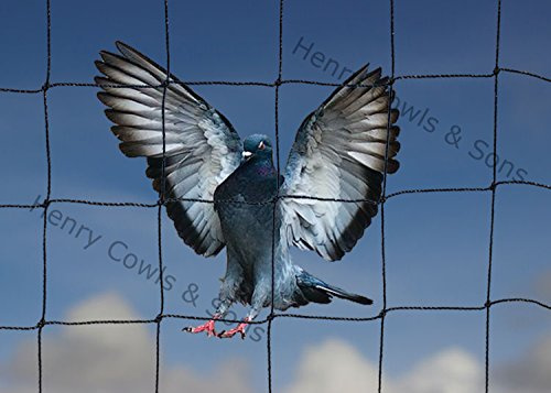 Bird Netting For the Garden 15m x 20m 50mm 2 Anti Pigeon Knotted Mesh Heavy Duty Black Net Protection