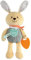 Chicco My Sweet Doudou Cuddly Cuddle Bunny, weiches Häschen aus Mehreren hochwertigen Stoffen, mit weichem Kunststoffkarotten zum Zahnen, Babyspielzeug, erste Puppen, 0 Monate+