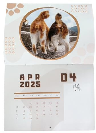 Takluu Lustiger Katzen-Wandkalender, Gag-Kalender 2025, Lustiger Katzen- -Kalender 12 Monate, Stabile Streich-Wandkunst-Dekoration zum Organisieren und Planen, Urlaubsgag