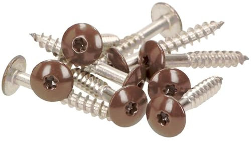 100x MEISTERLING® Fassadenschrauben INOX V4A 5,5 x 35 mm – Flachkopf Torx T20 + 1 Bit – Hellbraun