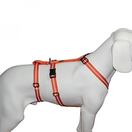 Feltmann NoExit Hundegeschirr® - ausbruchssicher, Panikgeschirr, Reflexband orange, Bauchumfang 70-90 cm, 25 mm Bandbreite