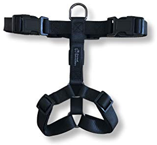 Animal Connection Pettorina ad H per Cani. 5 Punti di Regolazione. Disponibile in 5 Colori. Leggera e Resistente. (M+, Nero)