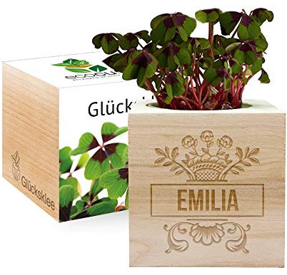 Gravierter EcoCube Vorname (Glücksklee)
