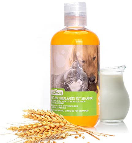 Nobleza Hundeshampoo mit Natürlichen Citronellol-Inhaltsstoffen, Tiefenreinigungsshampoo für Hunde, Fellpflege & Fellglanz, Sensitive-Shampoo Katze, mit Milch- und Haferduft, 250ML