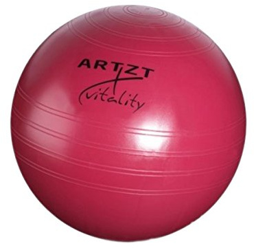 Artzt Vitality Fitness-Ball Professional 55 cm