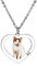 OTXIXTO Personalisierte Foto-Halskette Edelstahl Katze Hund Haustier Farbig Bild Herz Förmiger Anhänger Haustier Halskette Individuelle Geschenke für Frauen/Männer/Tierliebhaber