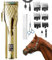 GHWMYD Tondeuse Sans Fil pour Chevaux Professionnelle, Électrique Rechargeable Toilettage Pour Chevaux Poil Long Epais Avec Moteur Puissant de 6200RPM, Poids Léger 400g