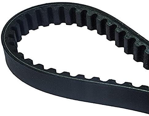 Dayco 8198K Power Plus Keilriemen Kevlar Verstärkt, L907 X B24.0