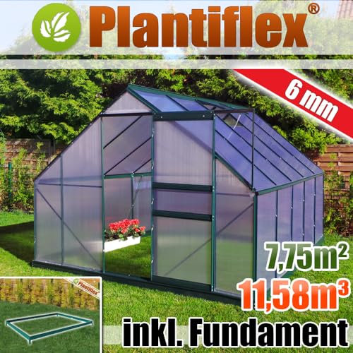 Aluminium Gewächshaus 250x310 cm - 7,75 m² mit Fundament - 6mm Verglasung, grün, Garten Pflanzenhaus 11,58m³ Alu Treibhaus Tomatenhaus