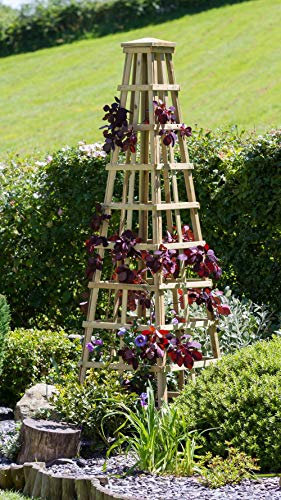Parcel in the Attic Solidwood Garden Obelisk for Climbing Plant Support - 200cm Height