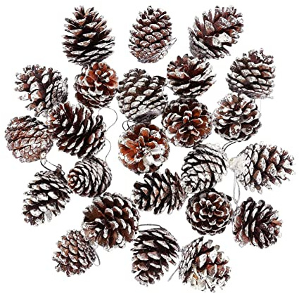 Christmas Natural Pine Cones, KY-Tech 25pcs Snow Pine Cones 3-4CM Christmas Pine Cones Decoration Natural PineCones With String Pendant Crafts for Gift Tag Christmas Tree Hanging Decoration(3-4CM)