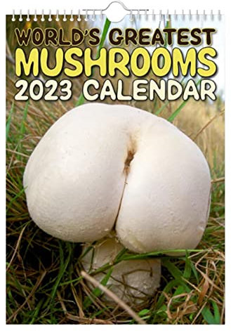 Kalender Wochen größten Pilze Meine Monatsrechnungen Anzeigen (White, One Size)