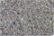 Beeztees 859408 Aquarium Kies Hell 1-2 mm, 8 kg