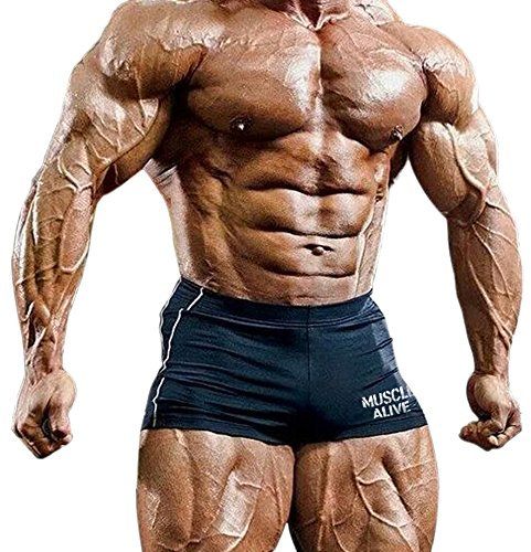 Musclealive Mens Gym Enge 4 inseam Bodybuilding Shorts Polyester und Lycra, MA-Black, Gr.M