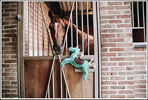Kentucky Einhorn-Pferdespielzeug - Größe OneSize, Tragbar, Modern, Unparfümiert, 1 Stück