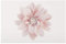 Bilderwelten Glasbild - Dahlie Blume Pastell Weiß Rosa, 60cm x 90cm