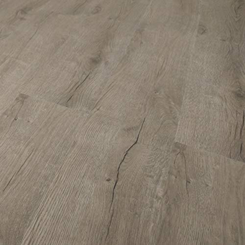 TRECOR® Klick Vinylboden RIGID-SPC Designboden Massivdiele 5,0 mm stark mit 0,50 mm Nutzschicht - Sie kaufen 1 m² - WASSERFEST (Prestige Eiche Grau, 1 m² | Vinylboden)