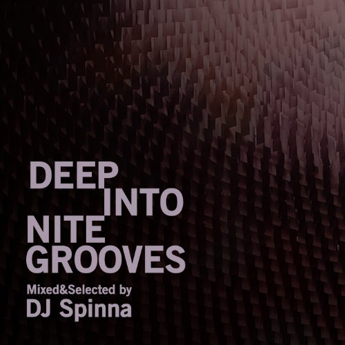 Deep Into Nite Grooves: Mixed By DJ Spin / Various