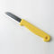OASIS® - Coltello da fiorista (1)