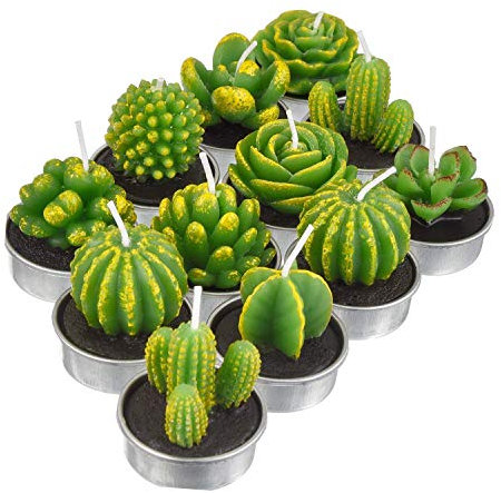 Lvcky 12 Stück Kaktus Teelichter Kerzen Handgemachte Zarte Sukkulenten Kaktus Kerzen für Party Hochzeit Spa Home Dekoration Geschenke