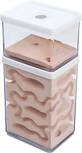 awagas 2-Tier Plaster Ant Farm Formicarium Transparent Ant Nest Habitat