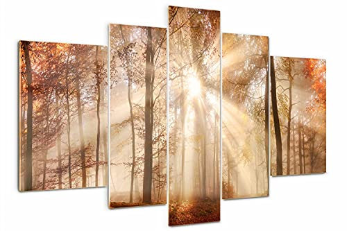 Tulup Tableau sur Verre 5 pièces 170x100cm Décoration Murale Tableau Peinture Murale Impression Image Art Mural Verre Trempé Cadre Triptyque Polyptyque - Brouillard à l'automne forêt