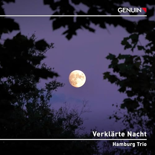 Verklärte Nacht - Werke für Klaviertrio von Schönberg, Schubert & Zemlinsky