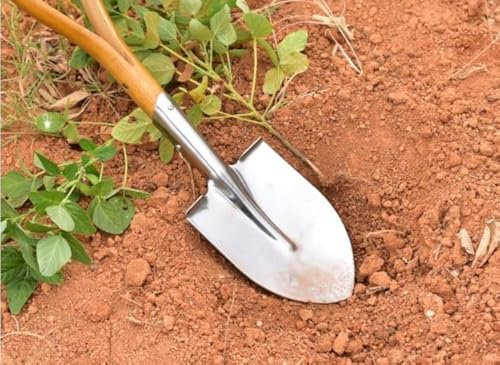 KEAAN Gärtnerspaten für Harte – Shovel All-in-One Spaten Profi-Spaten aus Edelstahl, für Harte und steinige Böden, Gartenspaten mit Stiel aus Eschenholz, Länge: 61 cm