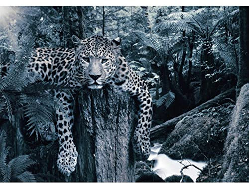 Runa Art Fototapete Leopard Afrika Modern Vlies Wohnzimmer Schlafzimmer - Made in Germany - Blau 9201010b