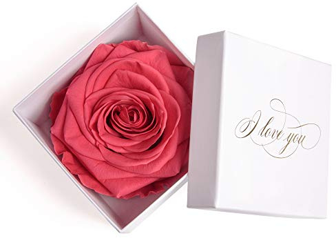 I LOVE YOU Rosenbox konservierte Rose in Pink weiße Flowerbox Geschenk der Liebe für Frauen (1 Rose, Weiß-Pink)