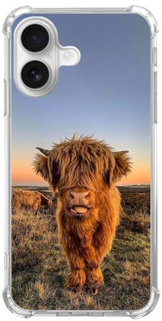 Wizeyake Cute Highland Cows Phone Case Compatible with iPhone 16, Adorable Cows Trendy Cool Girl Woman Boy Shockproof TPU Bumper Protective Cover Case for iPhone 16