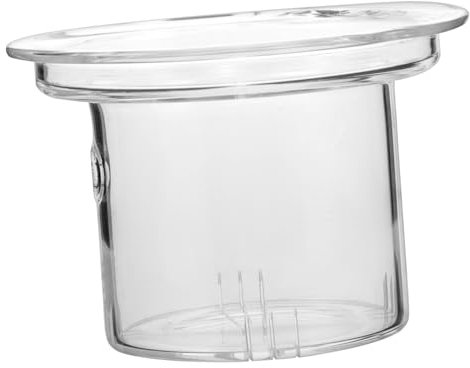 Cabilock théière en verre sachets de thé vides pour le thé en vrac bouilloire passoire à thé Théière remplacement filtre Théière filtre amovible infuseur à thé filtre à thé Un verre