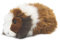 WWF Plüschtier Meerschweinchen (19cm) 2 Farben schwarz braun Kuscheltier (braun)